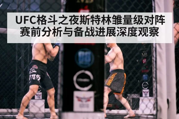 MMA octagon fight night