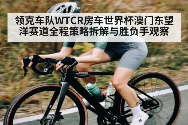 领克车队WTCR房车世界杯澳门东望洋赛道全程策略拆解与胜负手观察